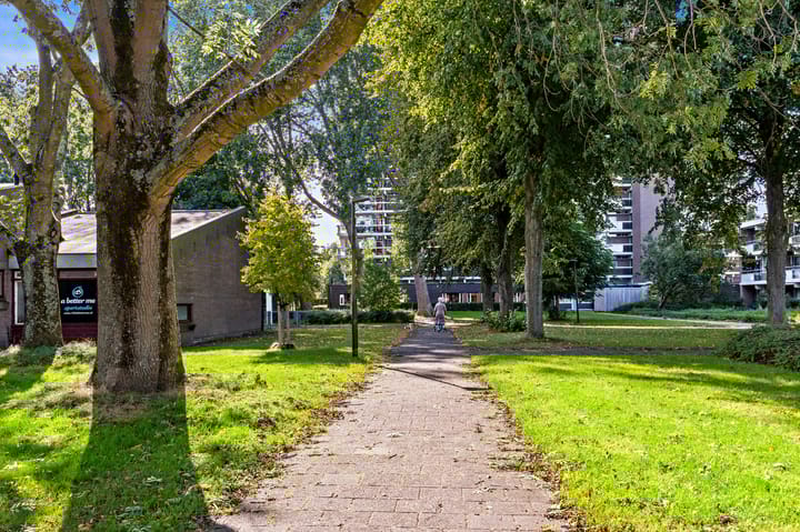 Foto 40 van Valkhof 3