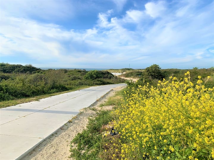 Foto 21 van Schotsmanweg 1-03