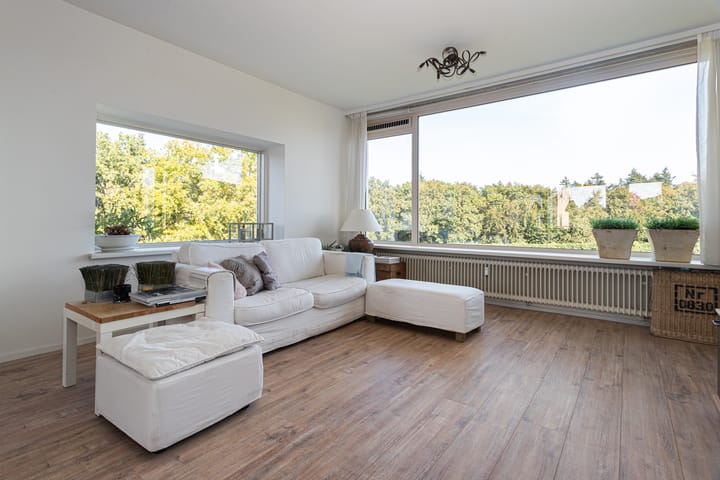 Foto 7 van Merelhof 19