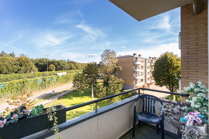 Foto 20 van Merelhof 19