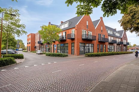 undefined main image