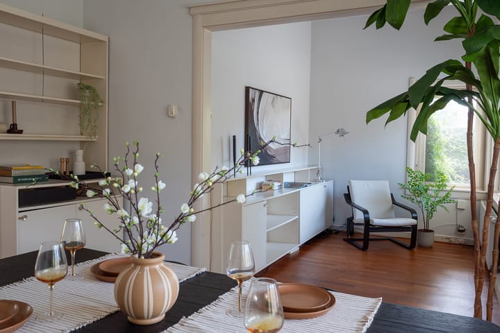 Foto 13 van Pieter de Hooghstraat 24