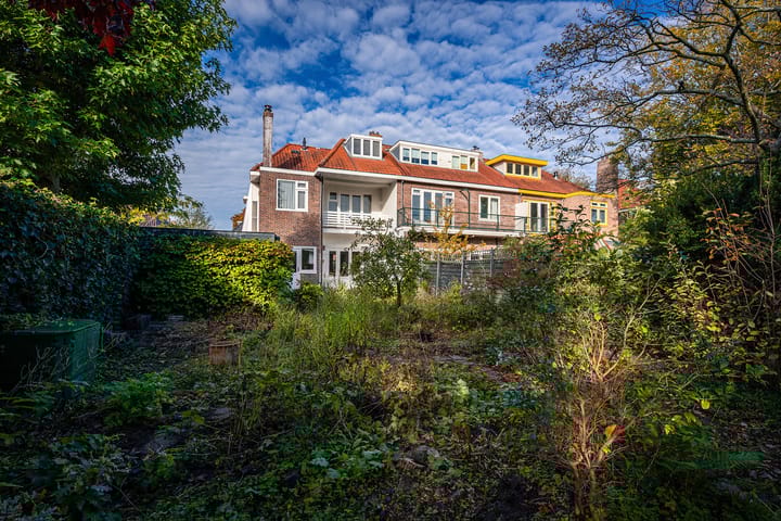 Foto 4 van Pieter de Hooghstraat 24