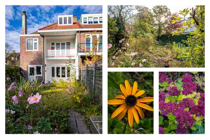 Foto 41 van Pieter de Hooghstraat 24