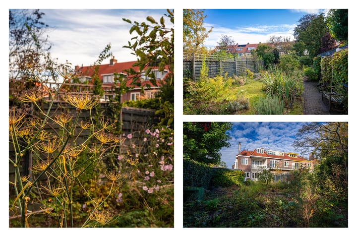 Foto 42 van Pieter de Hooghstraat 24