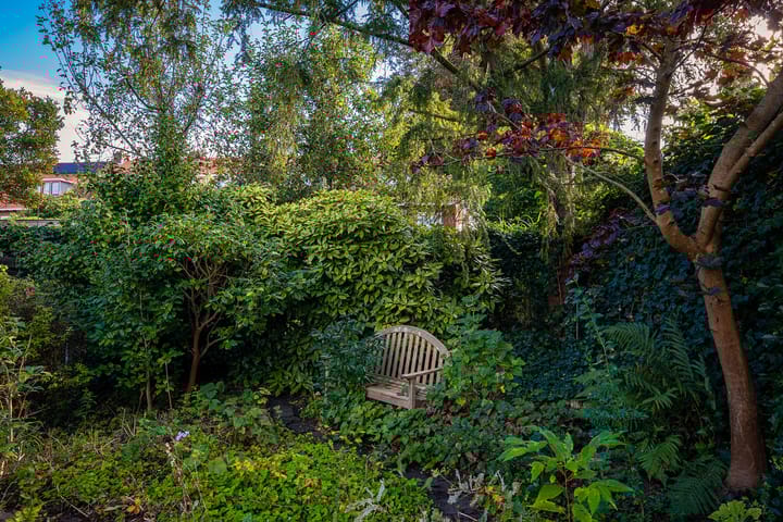 Foto 47 van Pieter de Hooghstraat 24