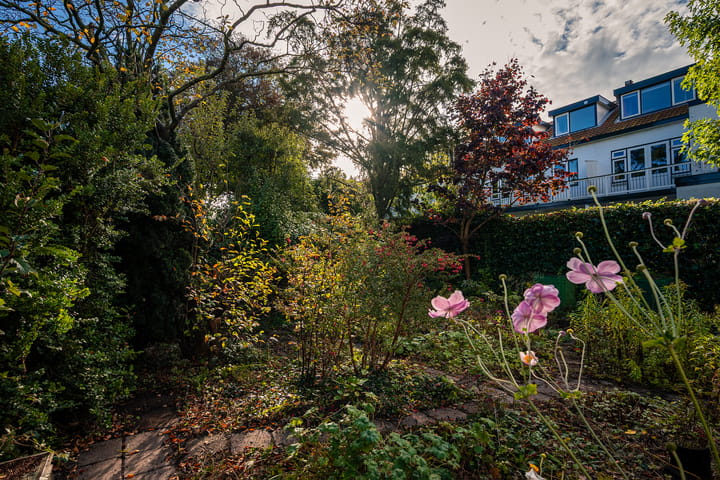 Foto 50 van Pieter de Hooghstraat 24