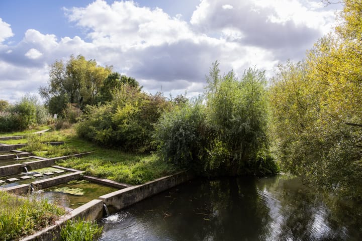 Foto 50 van Bosschahof 21