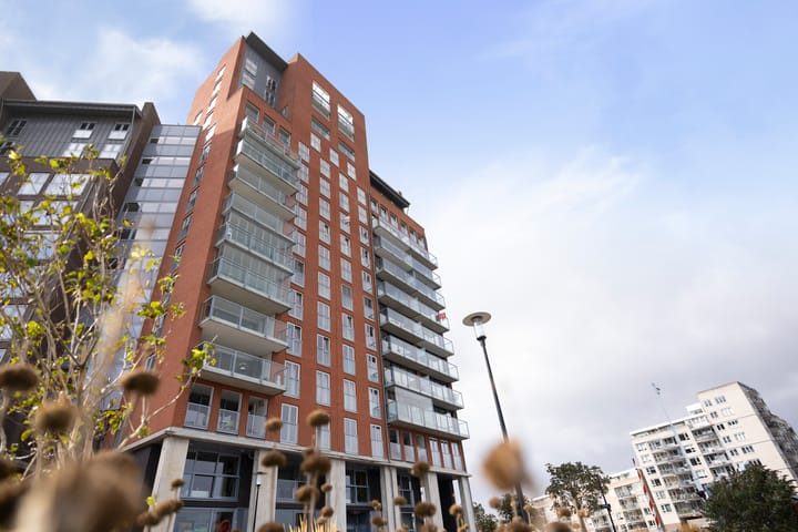 Photo 9 of Noorderhoofd 108