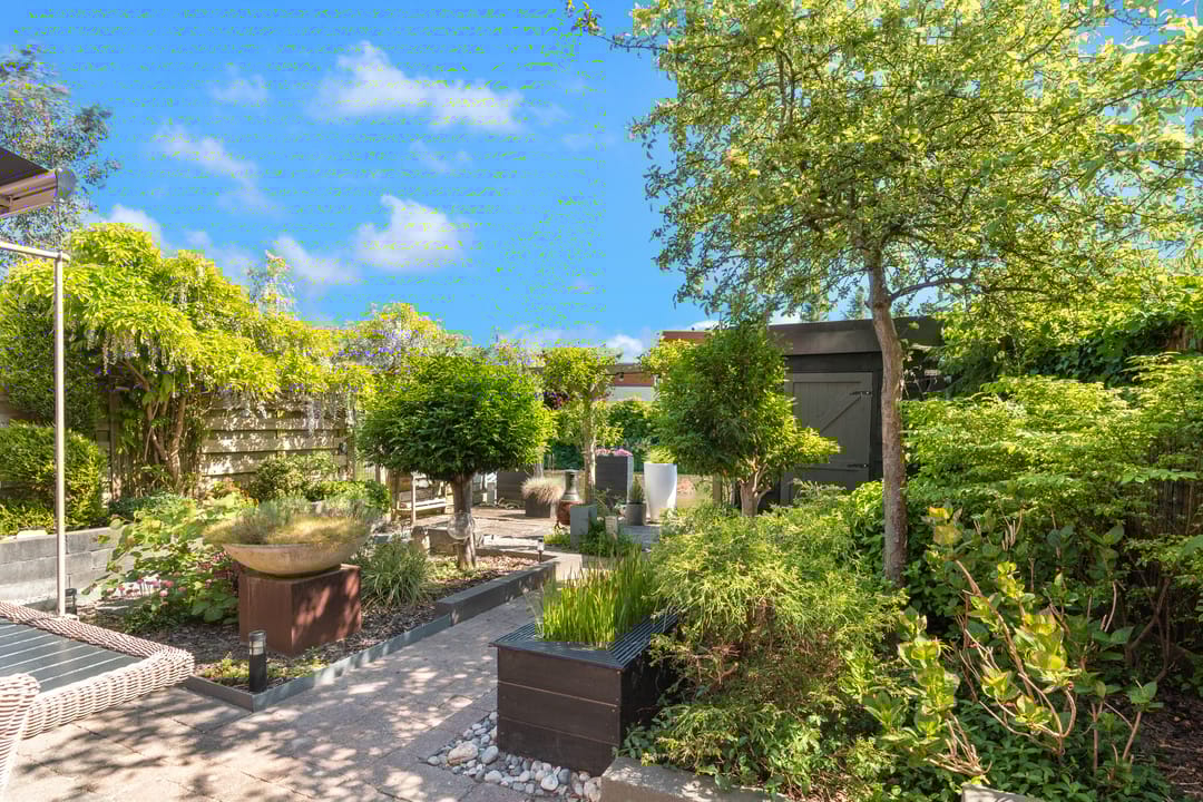 Foto 17 van Henriëtte Henriquez Pimenteltuin 30