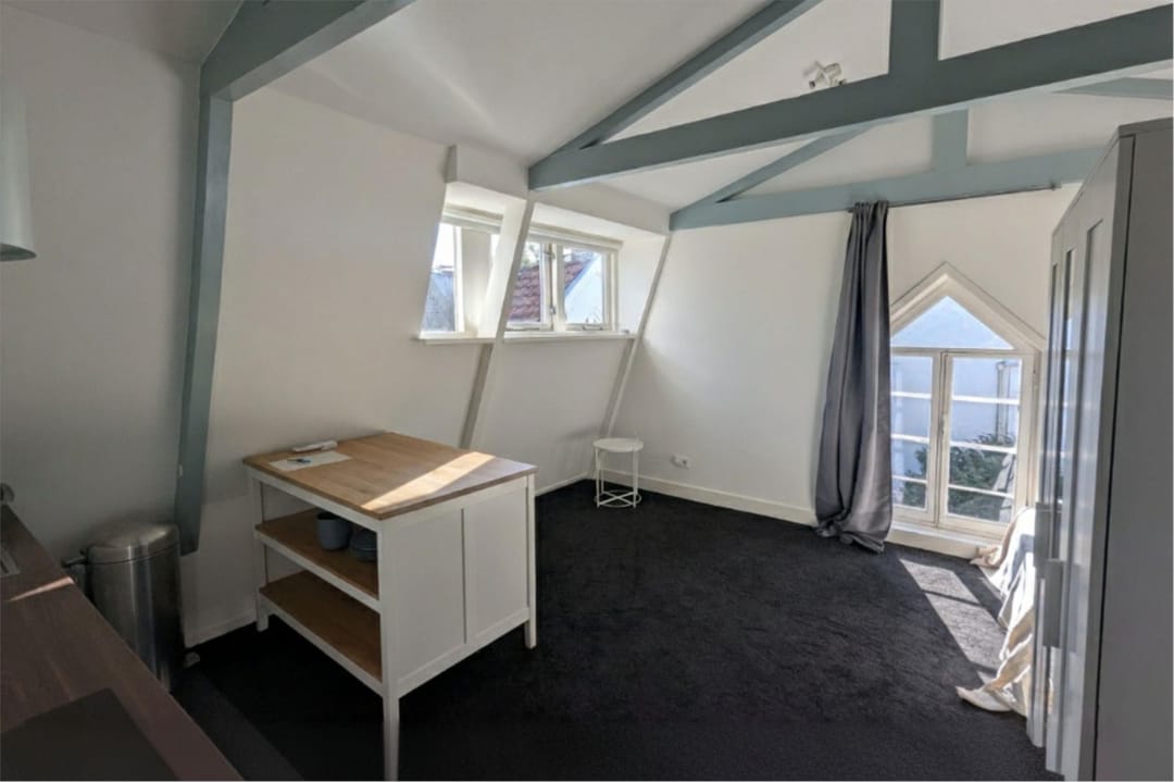 Foto 31 van Plantage Parklaan 18