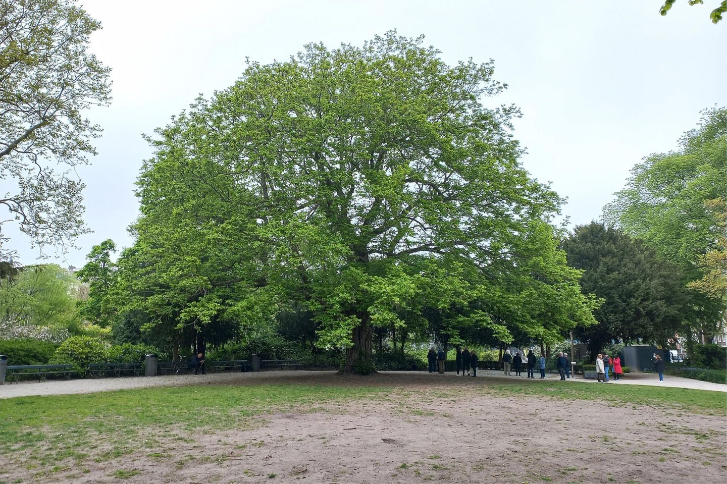 Foto 55 van Plantage Parklaan 18