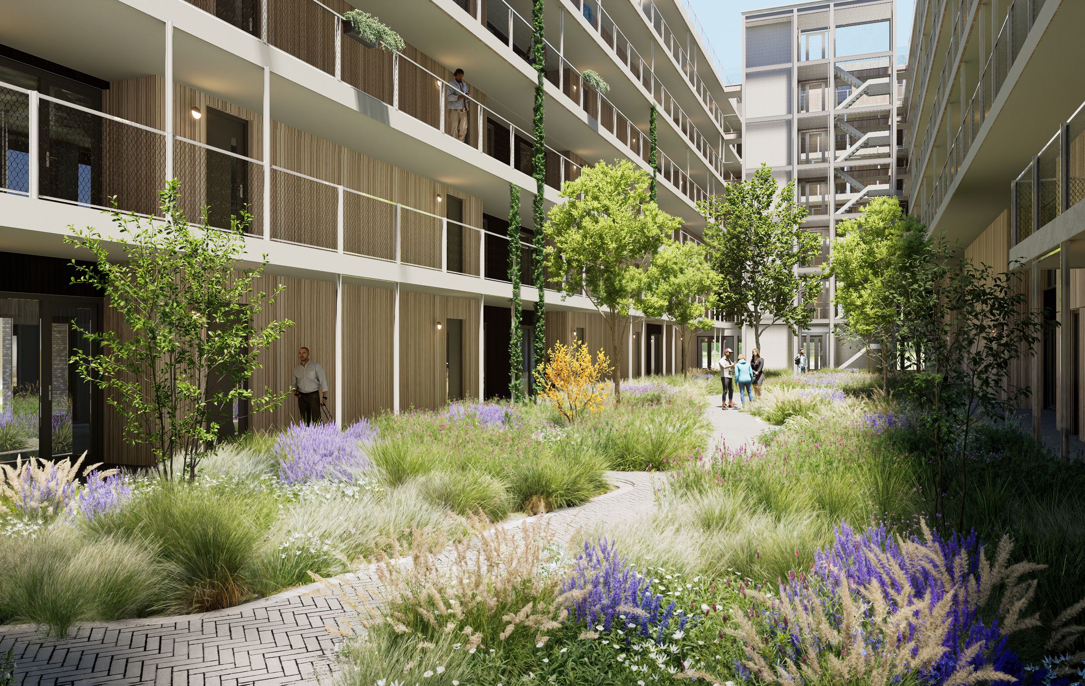 Foto 3 van Fluitenkruidpad 61