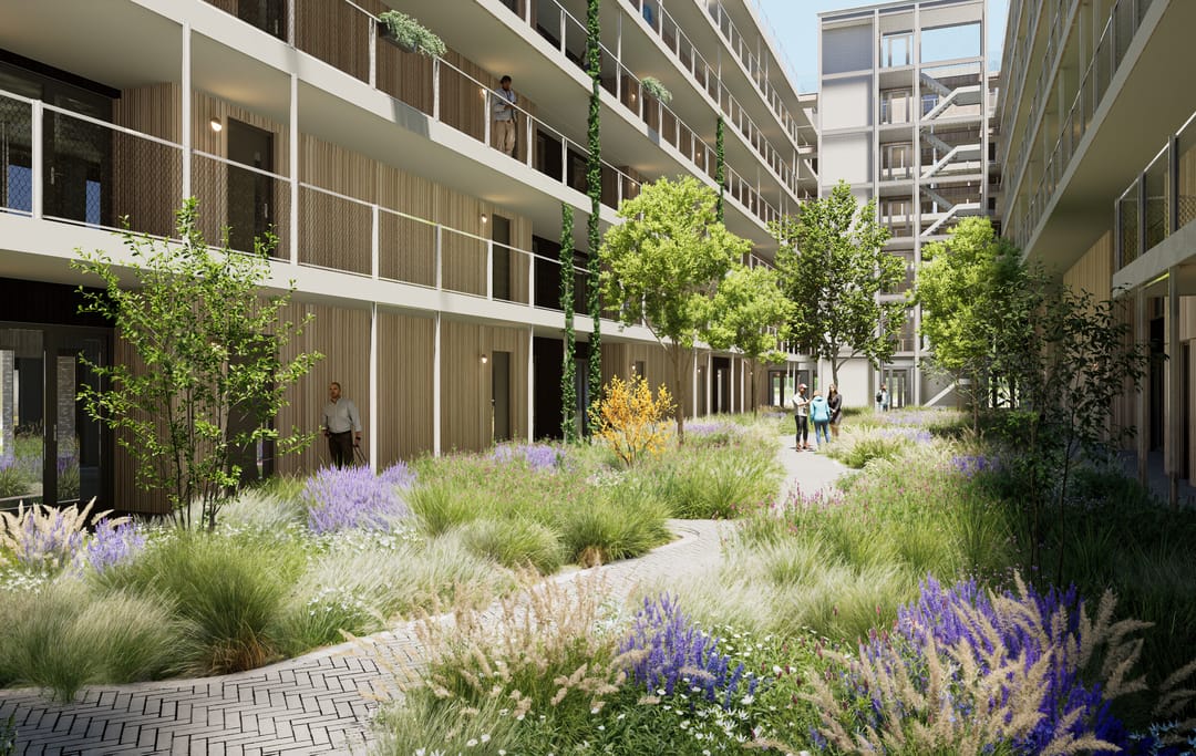 Foto 2 van Fluitenkruidpad 63