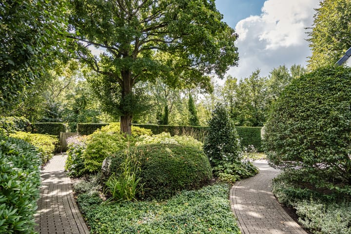 Foto 29 van Tetterodeweg 3-E