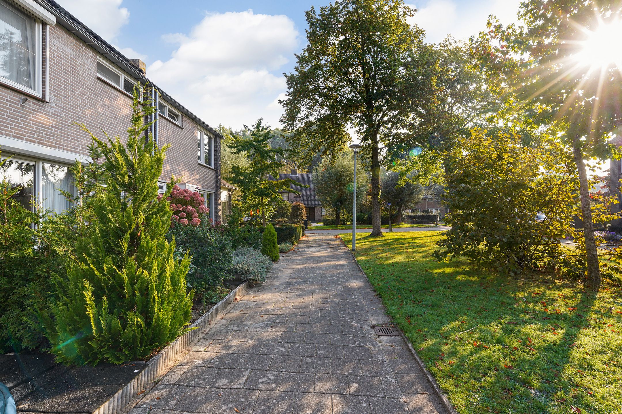 Foto 6 van De Volder 25