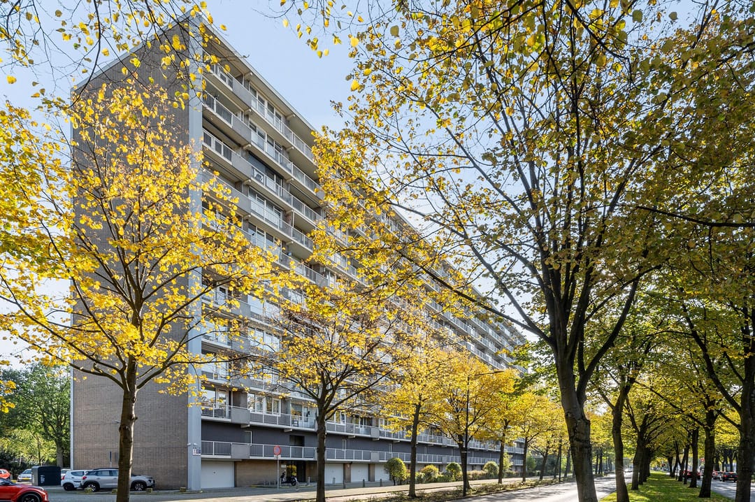 Photo 1 of Holysingel 190