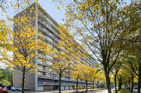 Holysingel 190