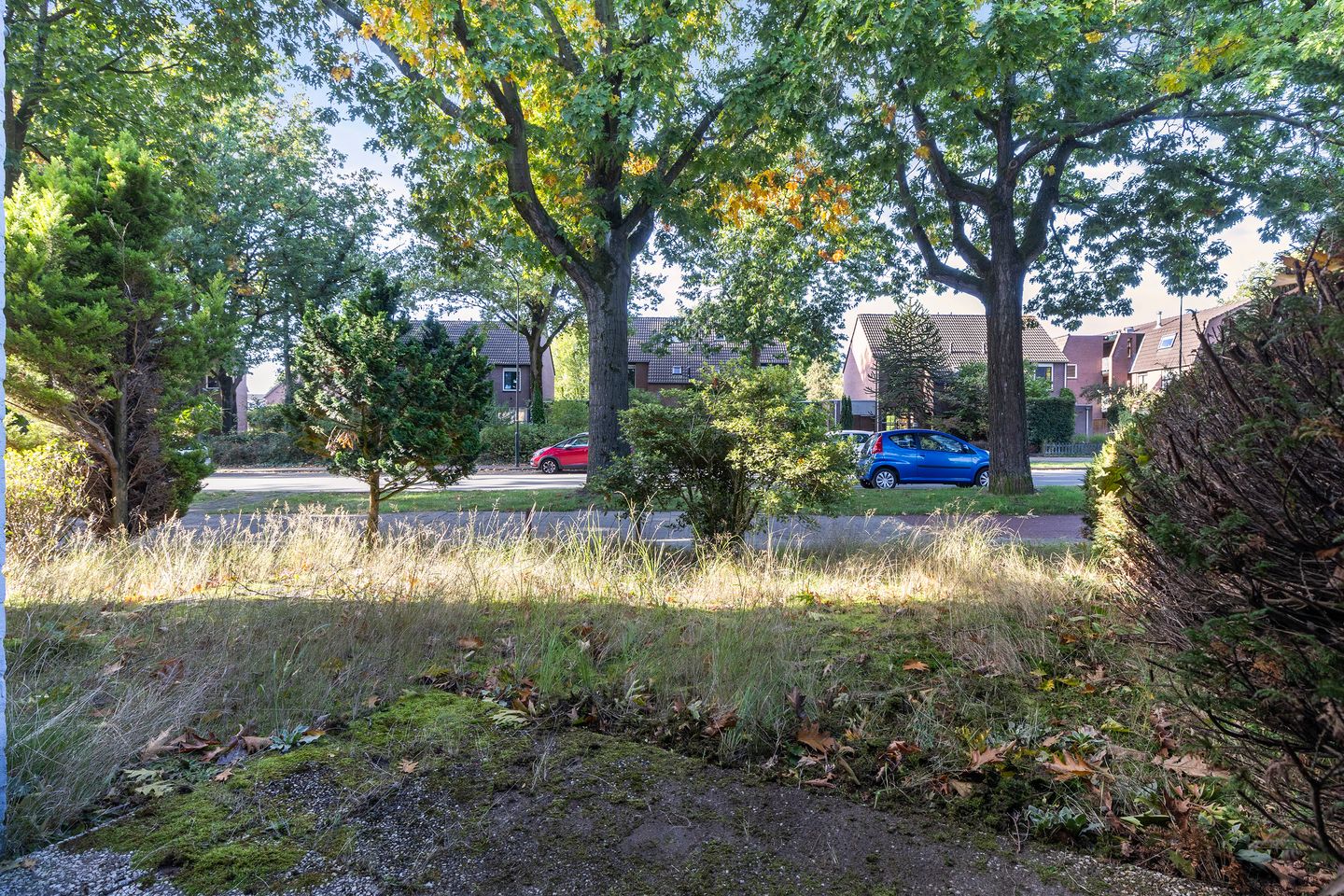 Foto 14 van Van Brerostraat 68