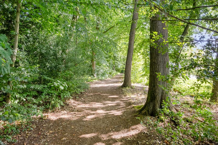 Foto 37 van Colenso 30