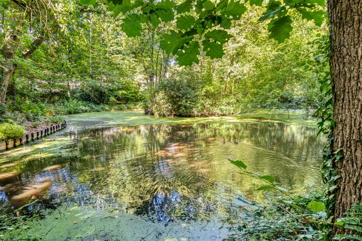 Foto 39 van Colenso 30