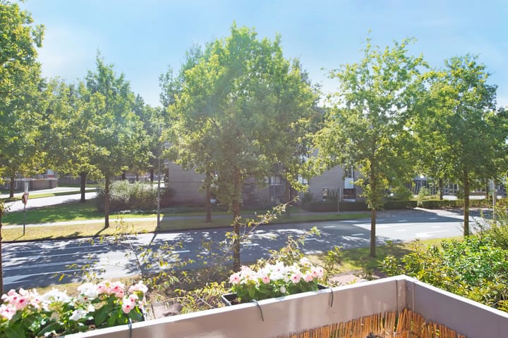 Foto 16 van Euterpeplein 17-E