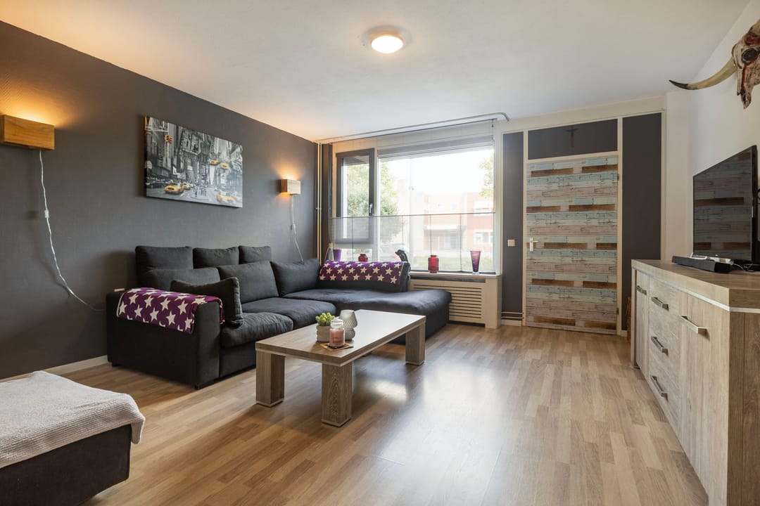 Foto 2 van Boekhorst 3