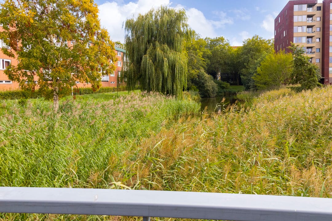 Foto 28 van Boekhorst 3