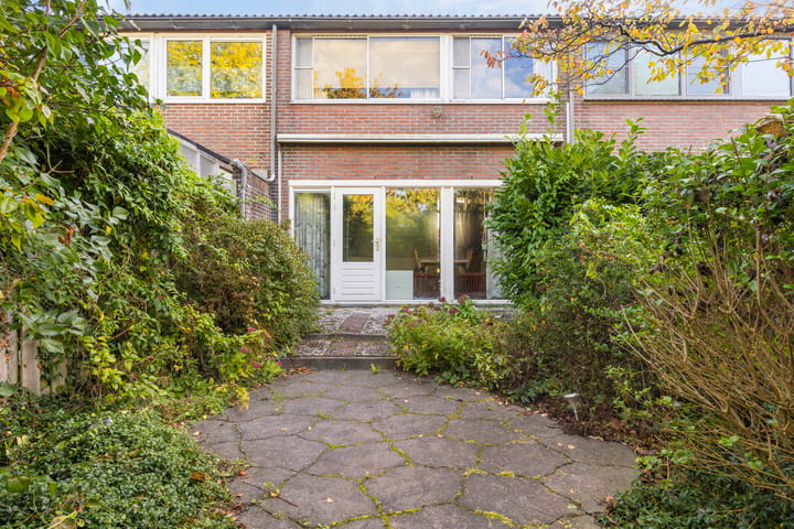 Photo 5 of Schout 62