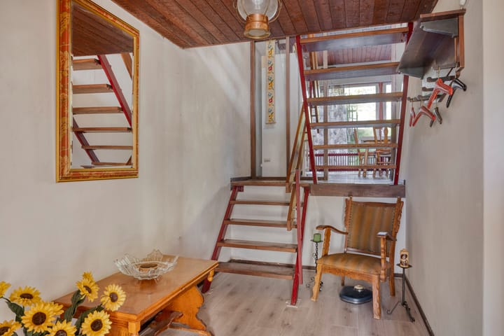 Photo 6 of Schout 62