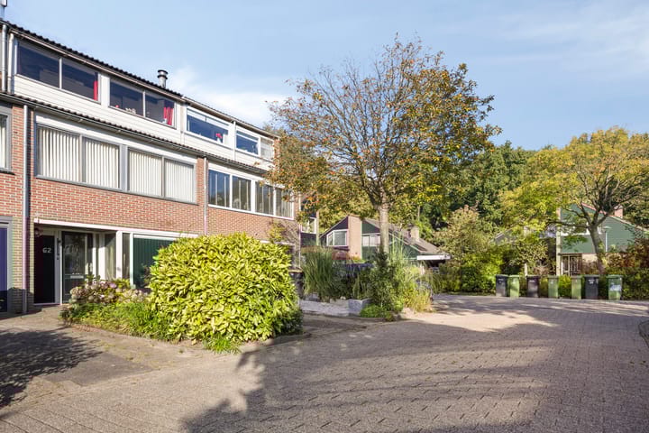 Photo 21 of Schout 62