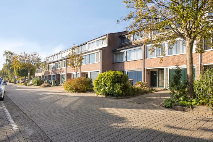 Photo 22 of Schout 62