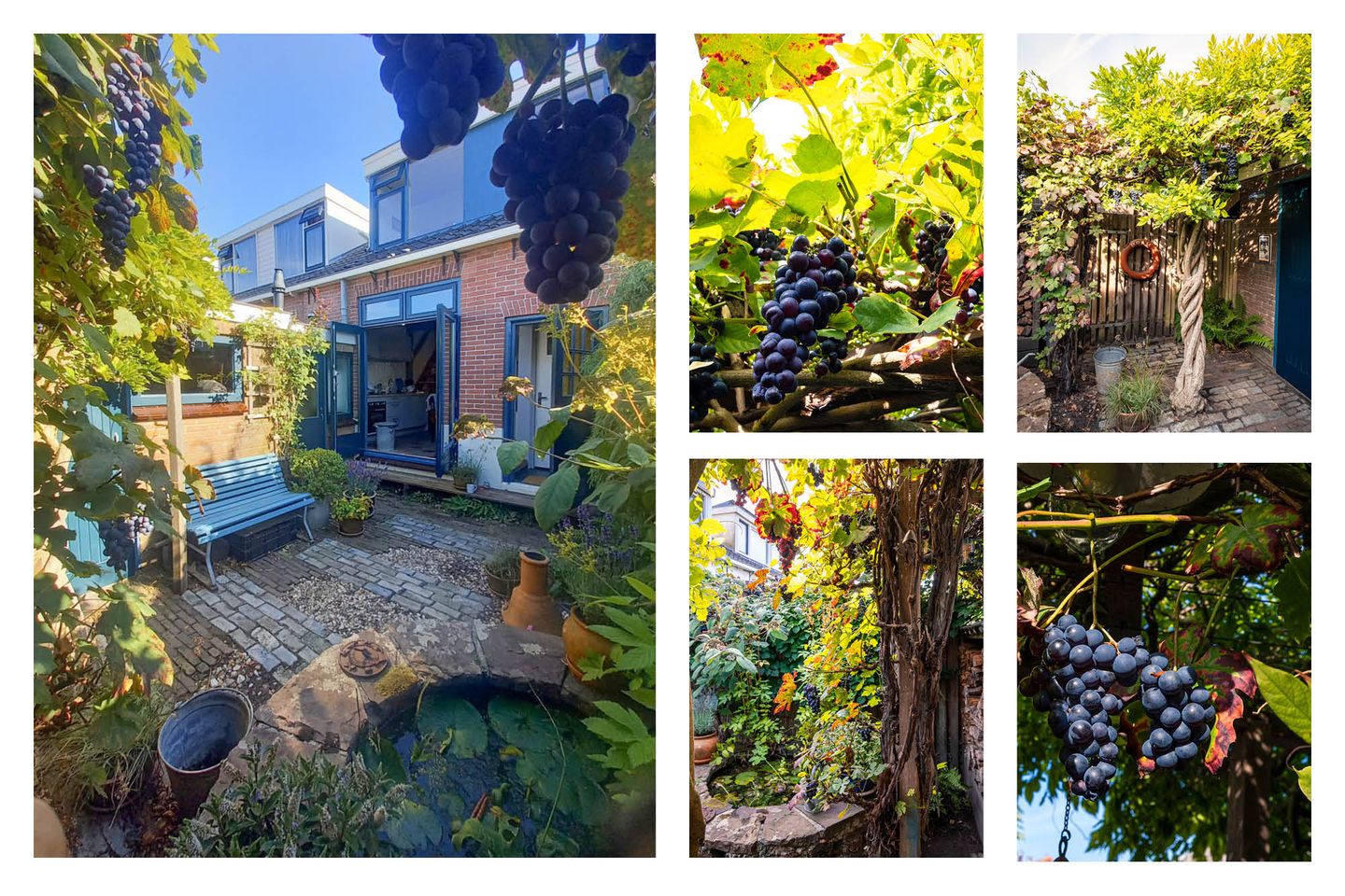 Foto 20 van Tuinstraat 21