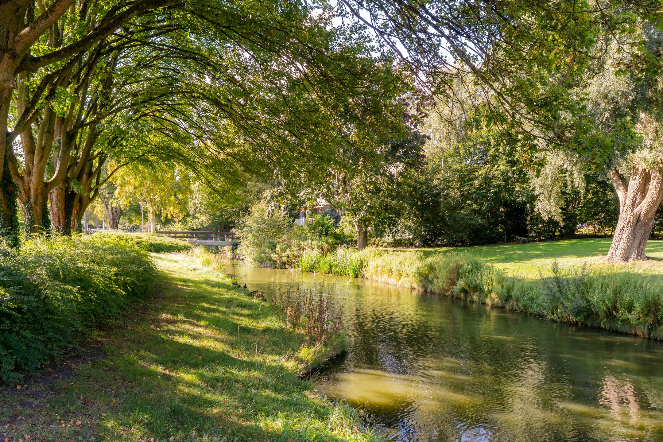 Foto 39 van Troskerslaan 15