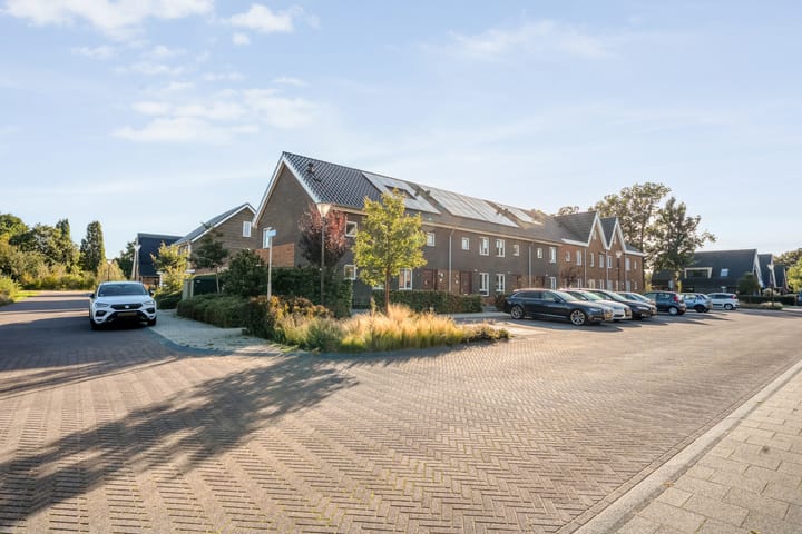 Foto 2 van Atalanta 24