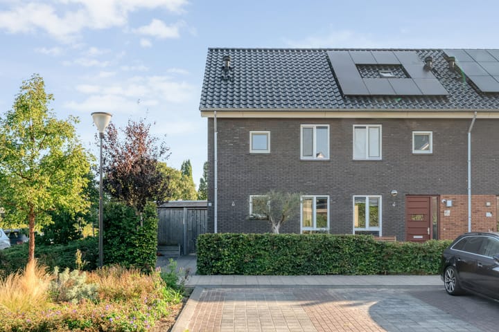 Foto 3 van Atalanta 24