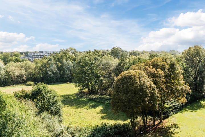 Photo 34 of Kastanjehof 314