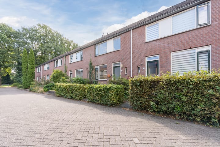 Foto 25 van Zevenblad 35