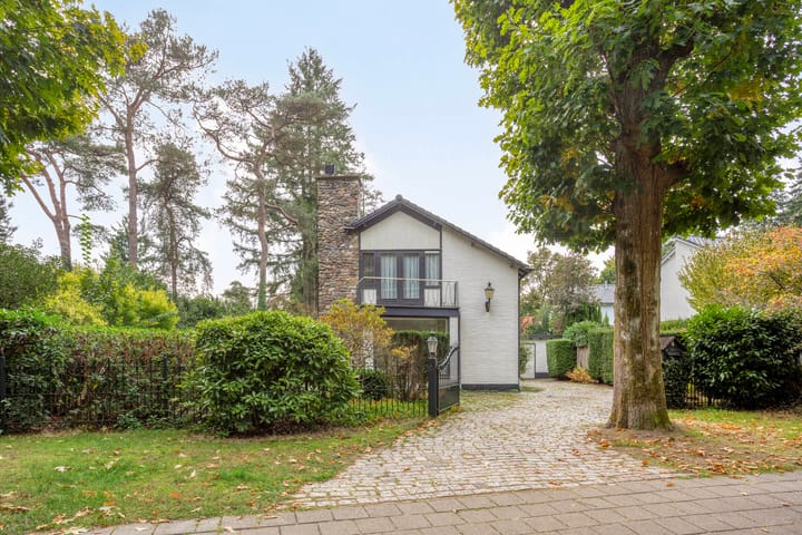 Foto 2 van Ludenlaan 4