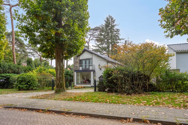 Foto 5 van Ludenlaan 4