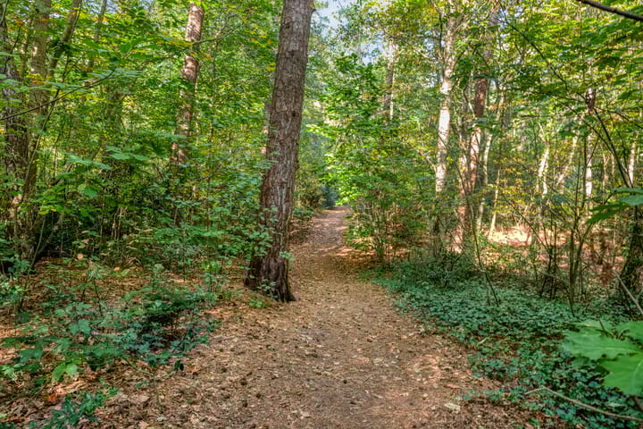 Foto 64 van Ludenlaan 4