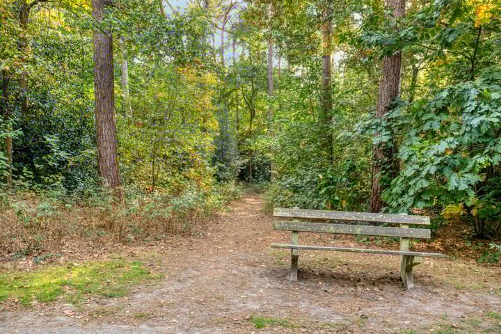 Foto 65 van Ludenlaan 4