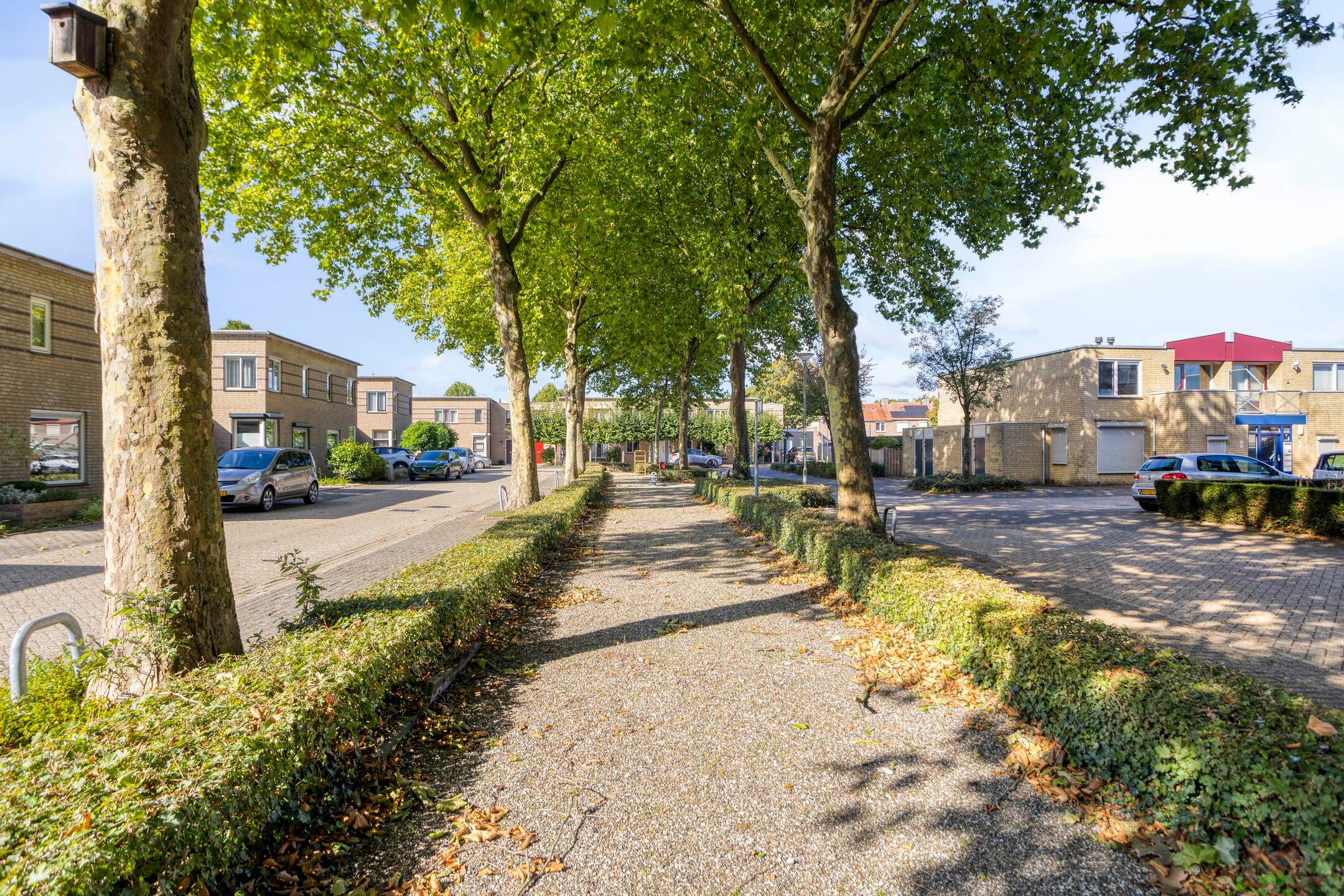 Foto 27 van Burgemeester Esserstraat 62