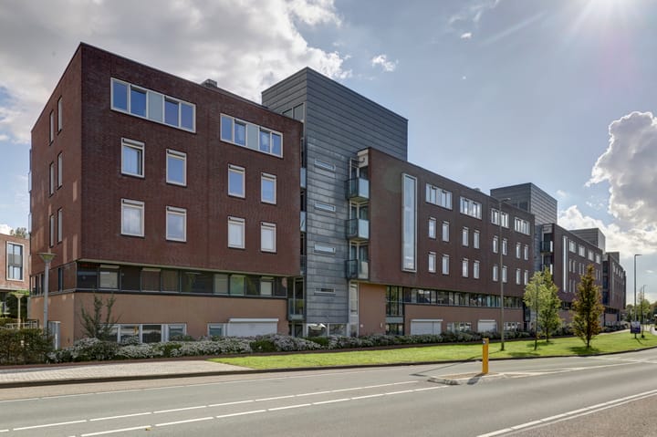 Foto 8 van Rijsenborch 11