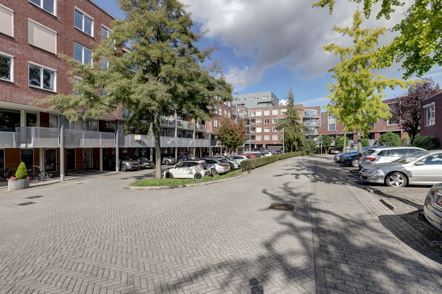 Foto 10 van Rijsenborch 11