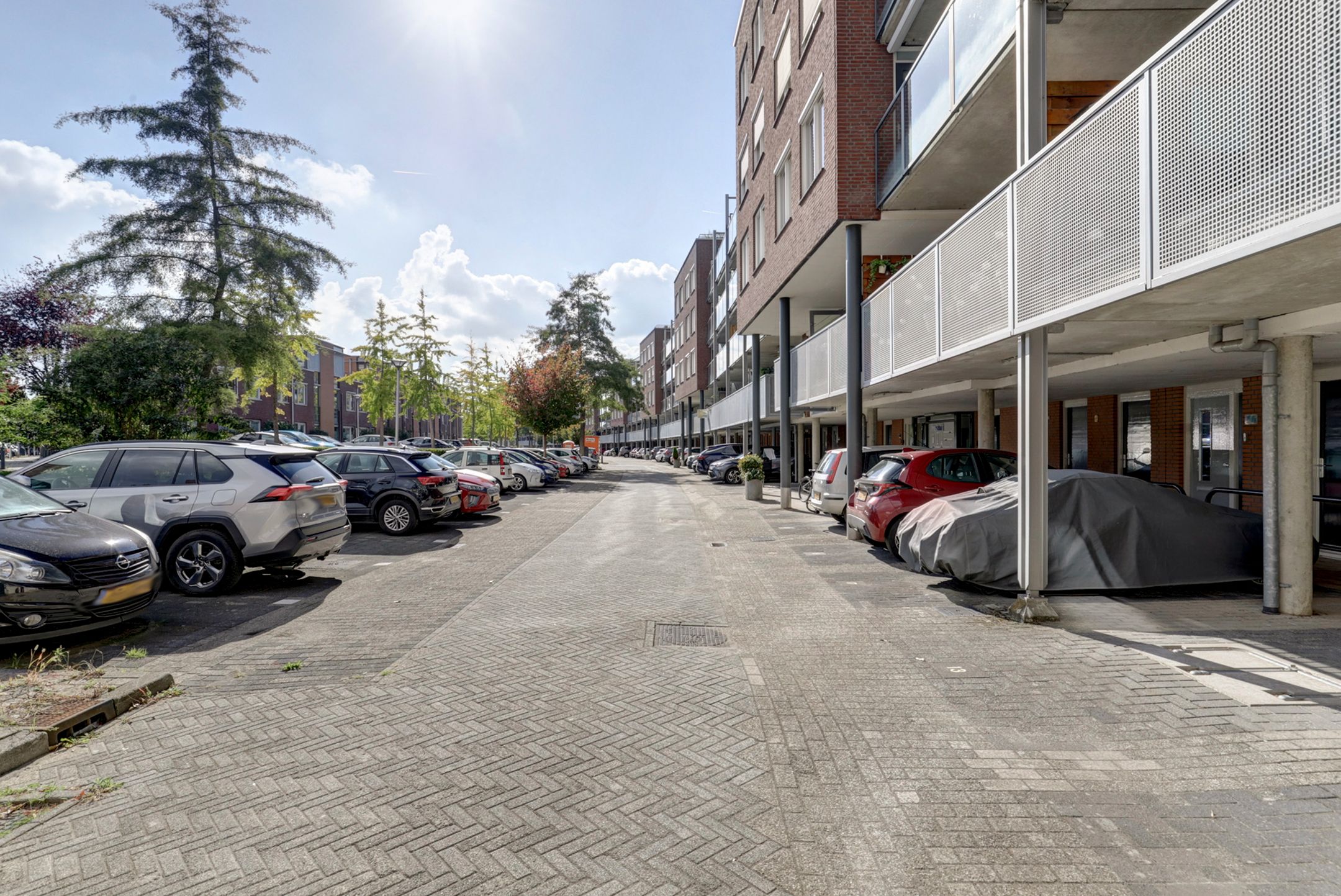 Foto 12 van Rijsenborch 11