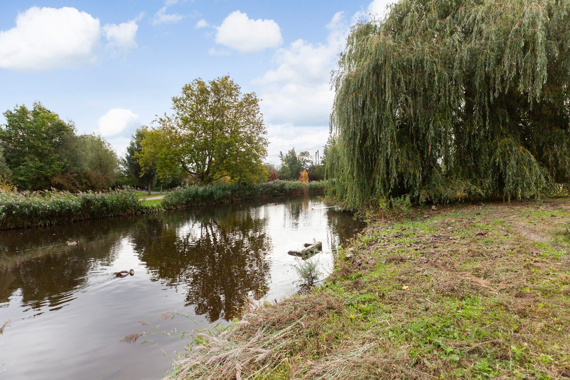 Foto 33 van van Slingelandtstraat 3-C