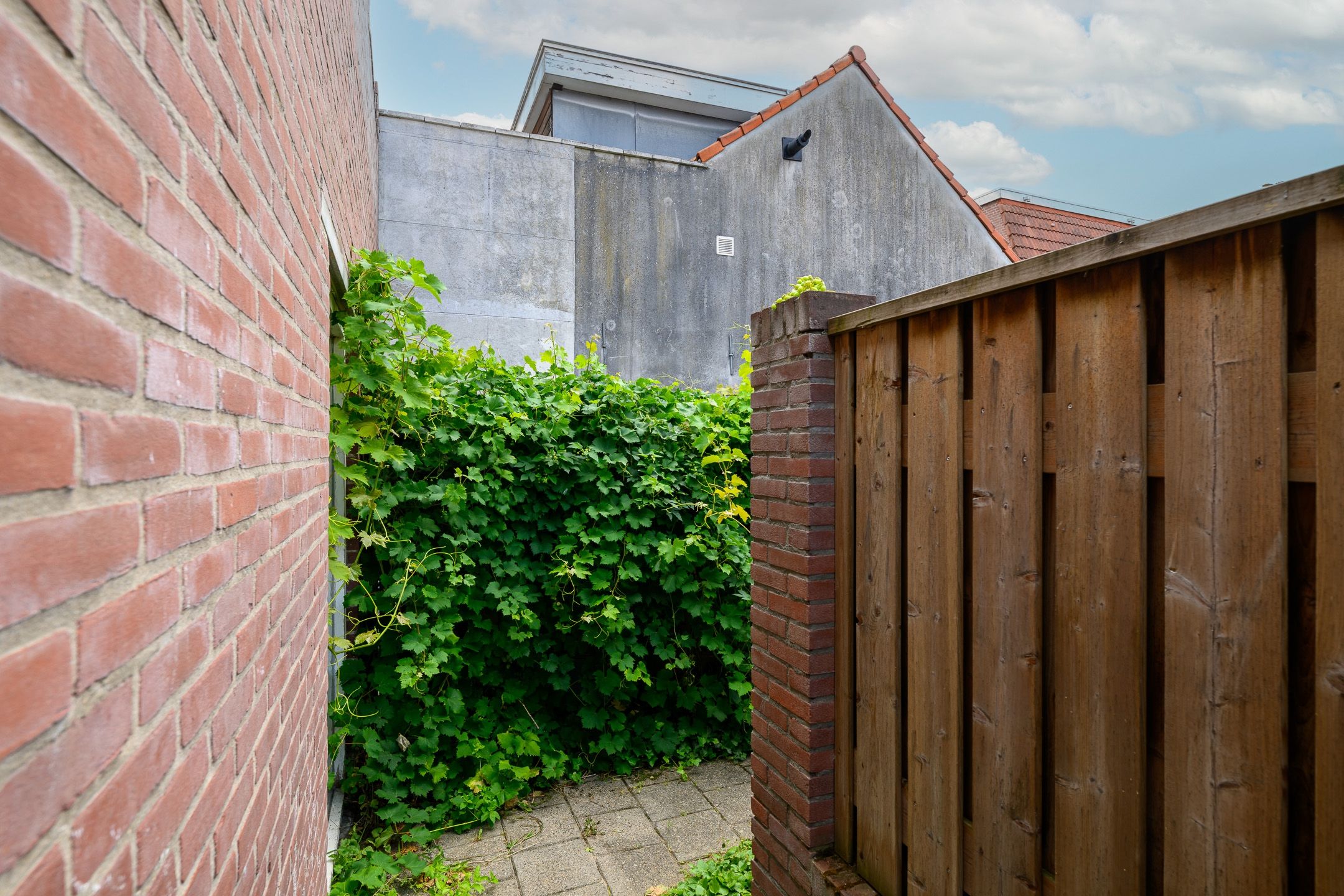 Foto 15 van Levendaal 159