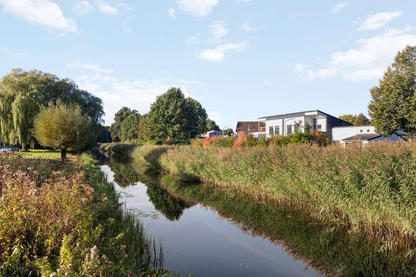 Foto 29 van Nachtegaal 15