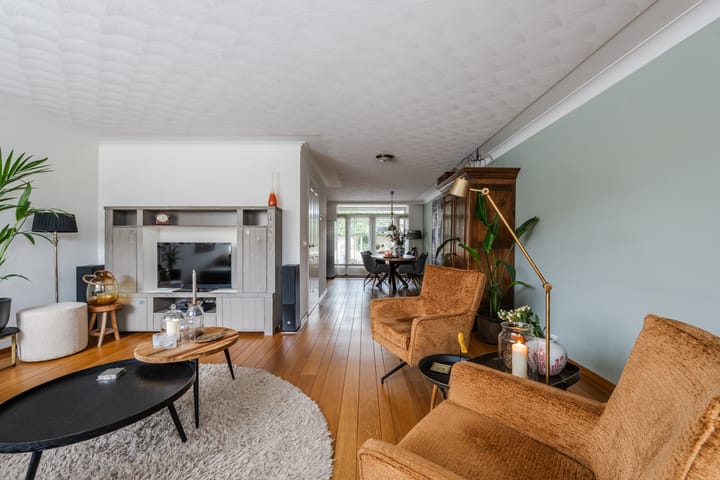 Foto 10 van Buizerd 11